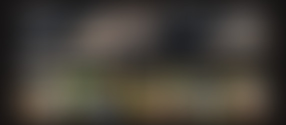 History of AR-15 Handguards: From the Jungles of Vietnam to the East of Ukraine