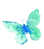 butterfly6_edited_edited.png