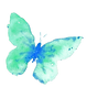 butterfly6_edited_edited_edited.png