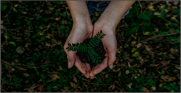 The Biggest Question – Why Recycling Matters?