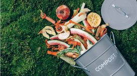 10 Ways To Live More Sustainably