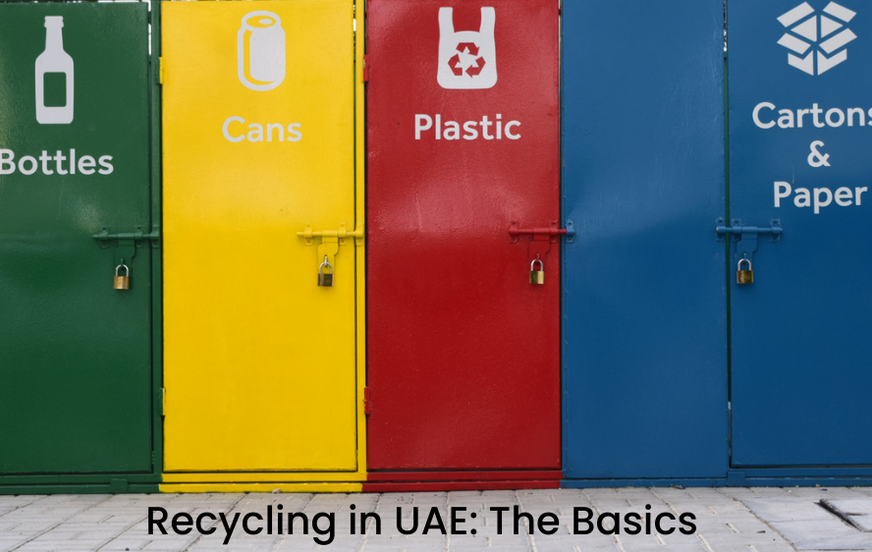 Recycling In UAE: The Basics