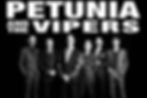 PETUNIA AND THE VIPERS