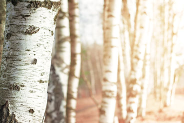 AdobeStock_104482923.jpeg