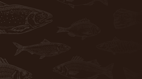 Fish_BG_BROWN.png