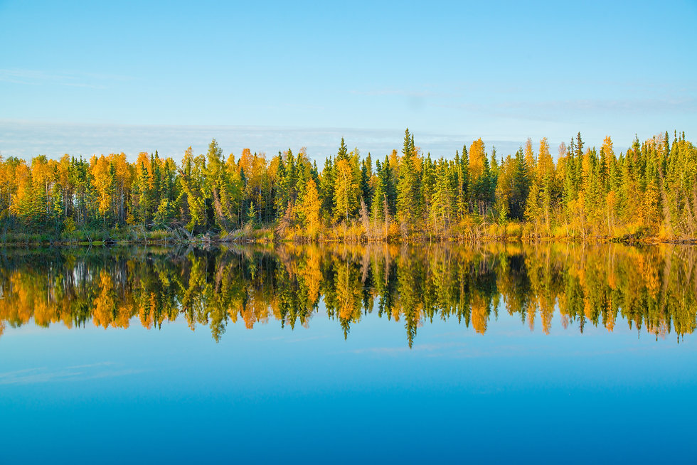 AdobeStock_71157058.jpeg