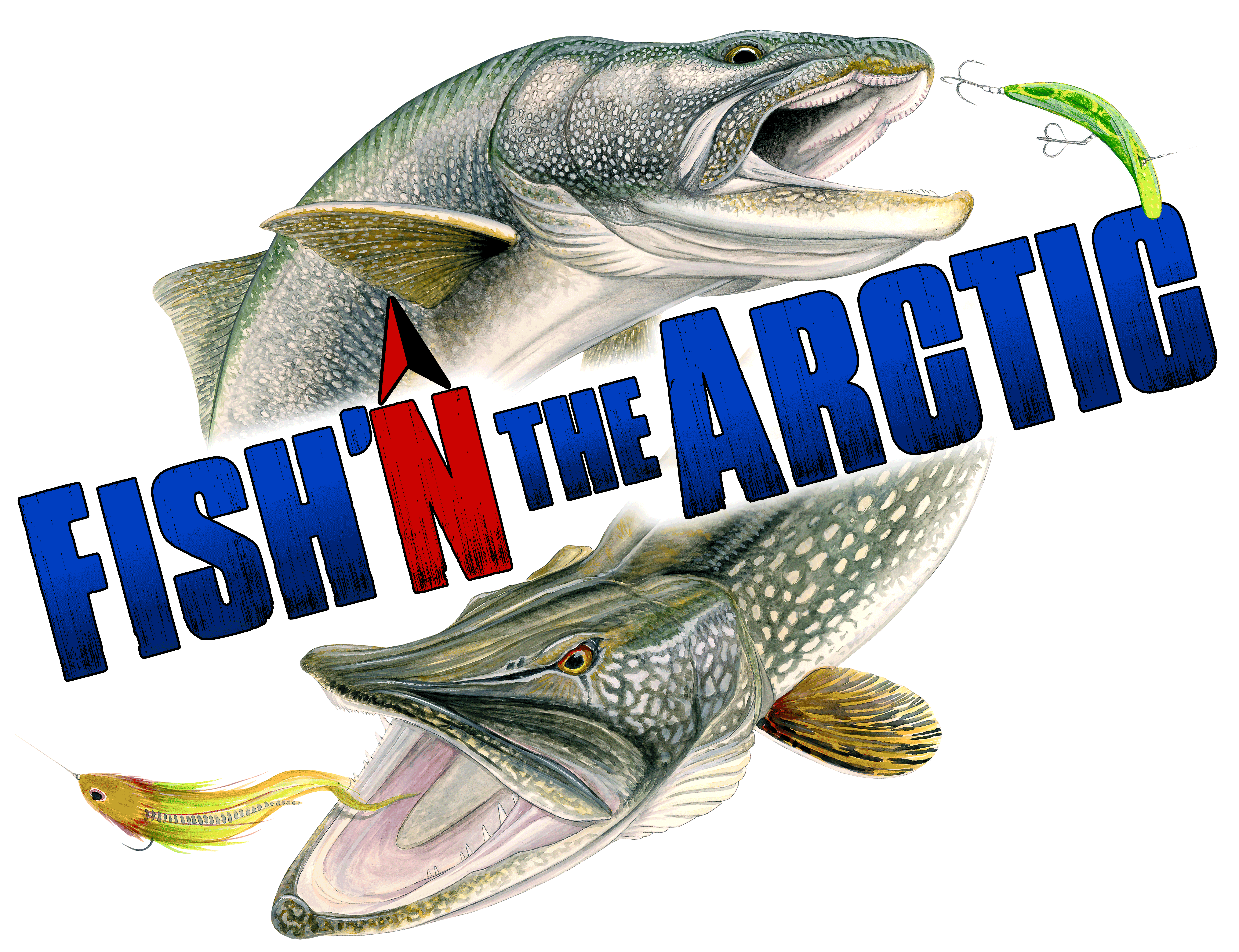 transparent for albums 3.png