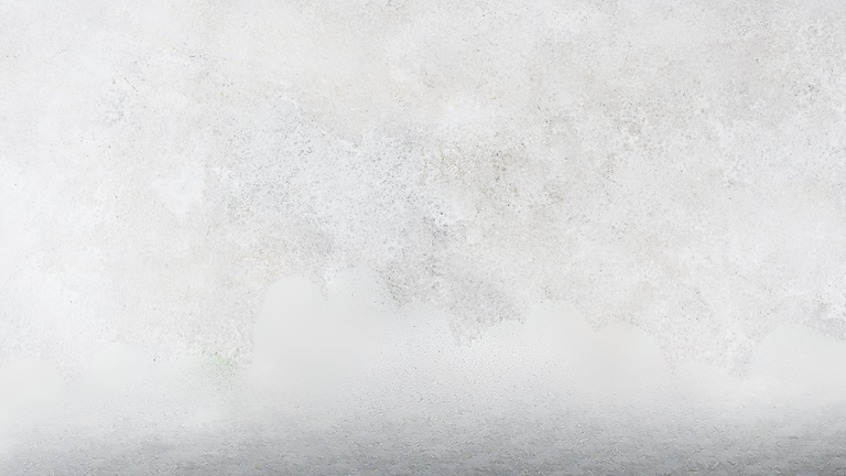 עיצוב ללא שם.png