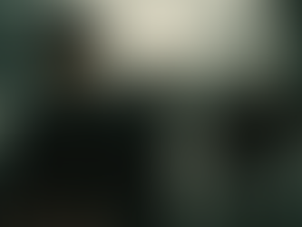 KGB operācijas turpinās. II daļa