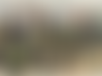 Kurdu kārts karā pret Irānu