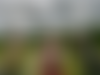 Latvija nav dronu lielvalsts