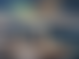 Grenlandes nozīme, Eiropas spējas