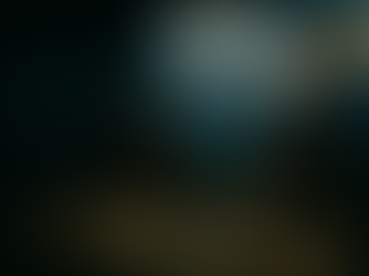 Ukrainā var atrast visu