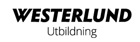 Svart_2x.png