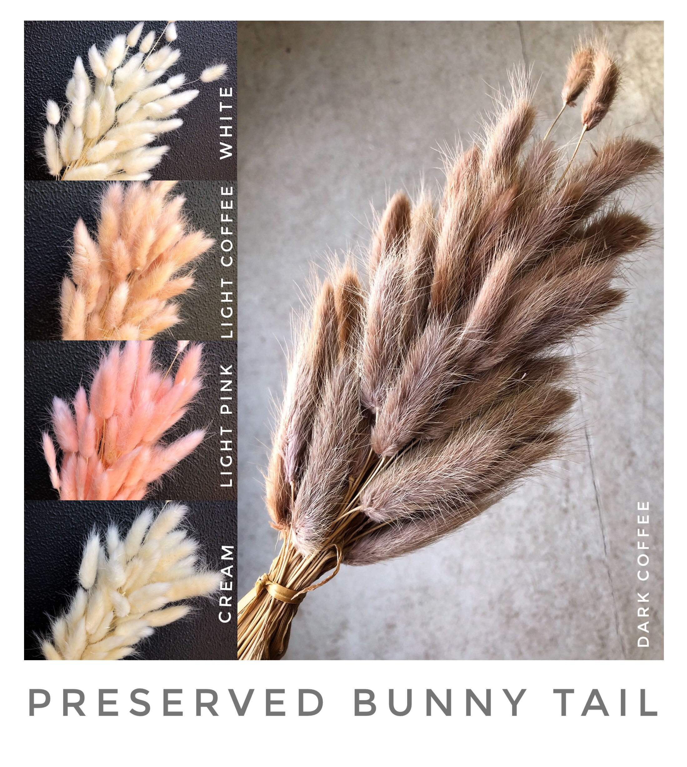 Preserved Bunny Tail