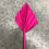 Thumbnail: Spear Palm