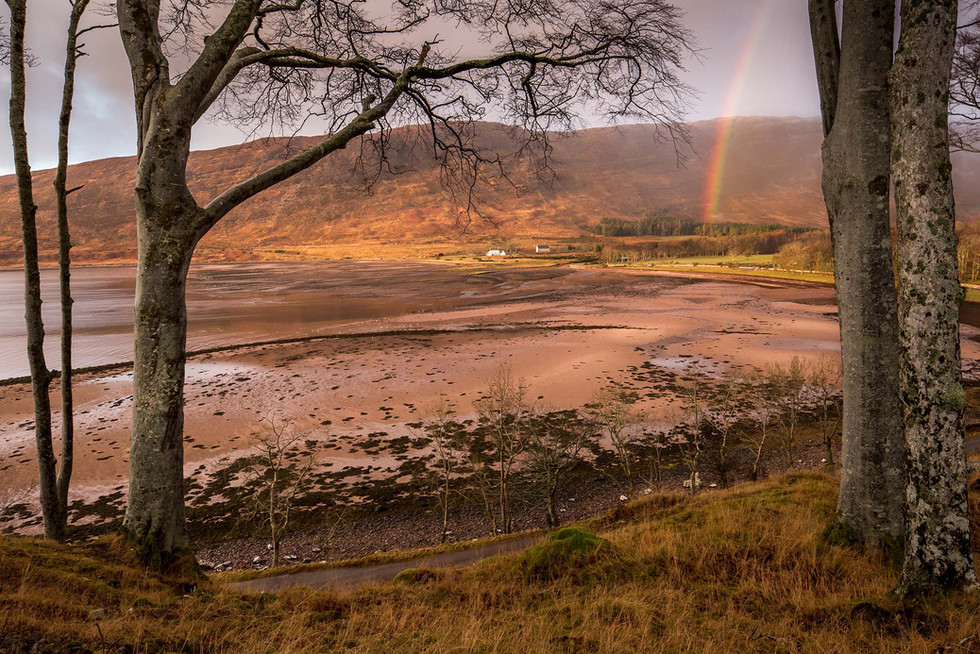 Landscapes applecrossgallery