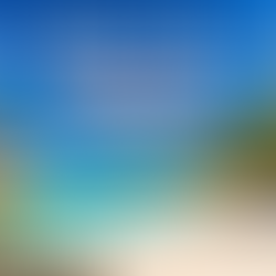 Sainte-Anne Guadeloupe Vacation Rentals: Complete Travel Guide | Tropikal Conciergerie