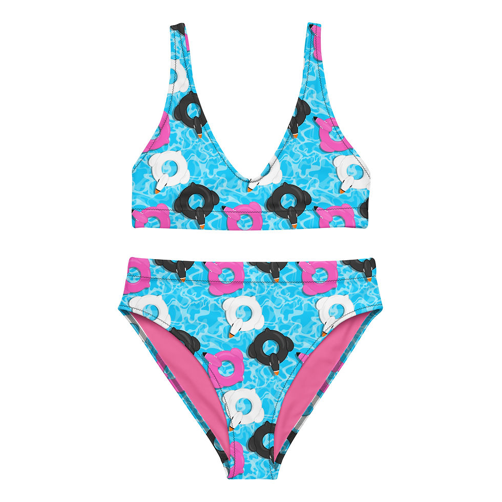 Birds of a Feather Floaties High-Waisted Bikini