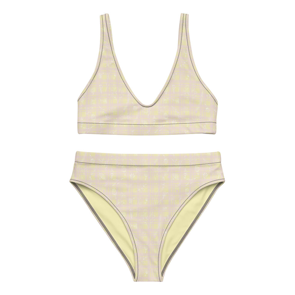 Pink Pottery Plaid High-Waisted Bikini