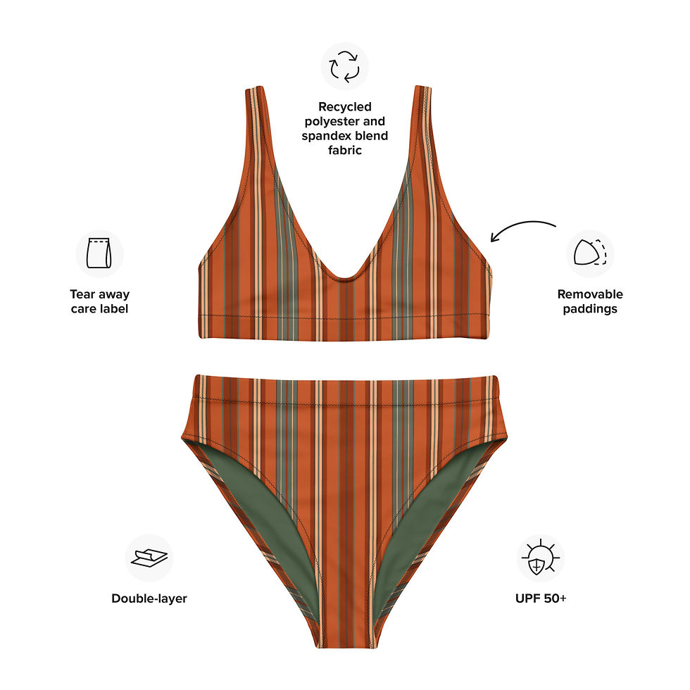 Vertical PEI Stripes High-Waisted Bikini