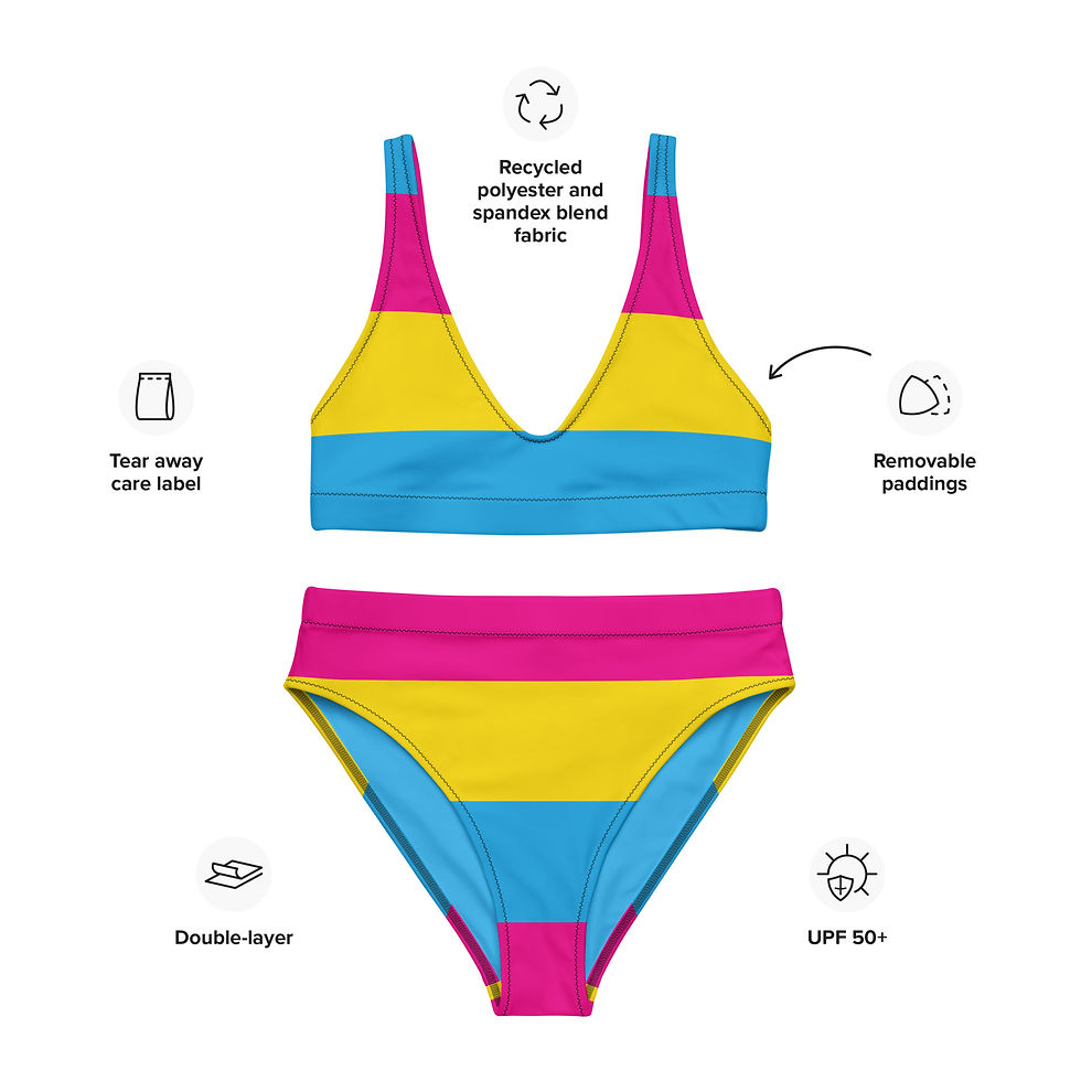 Pan Flag High-Waisted Bikini