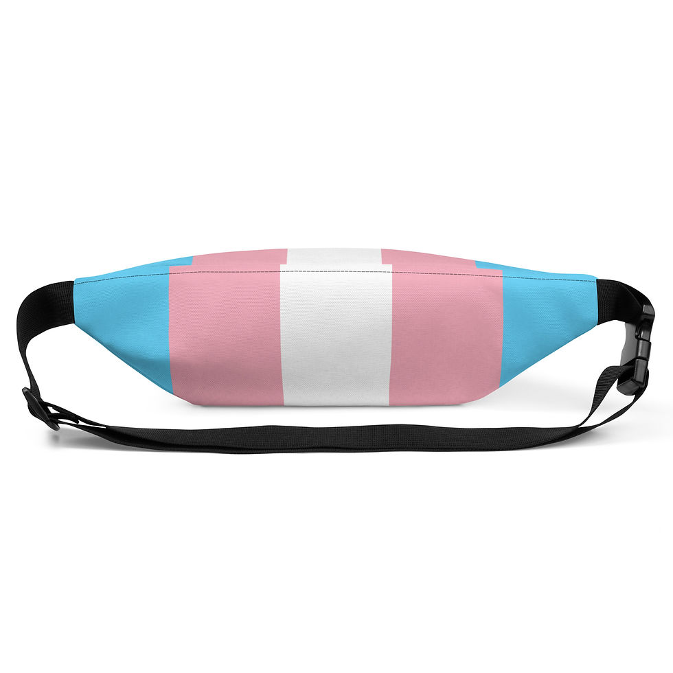 Thumbnail: Trans Flag Fanny Pack