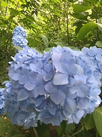 image0.jpeg
