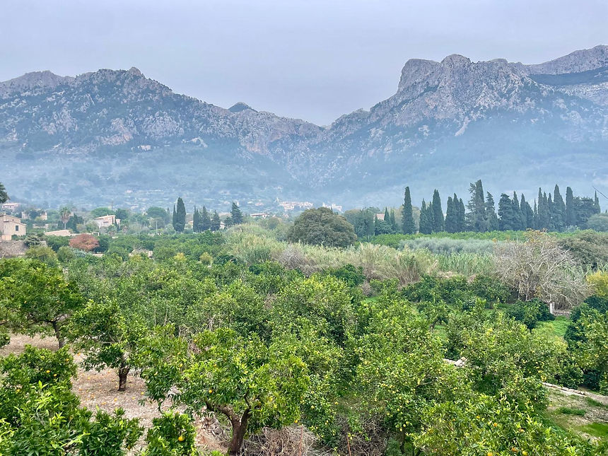 WhatsApp Image 2025-11-17 at 11.23.09.jpeg