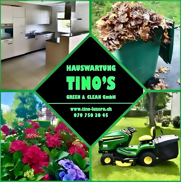 Tino's Green & Clean