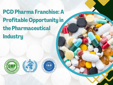 PCD Pharma Franchise: A Profitable Opportunity in the Pharmaceutical Industry