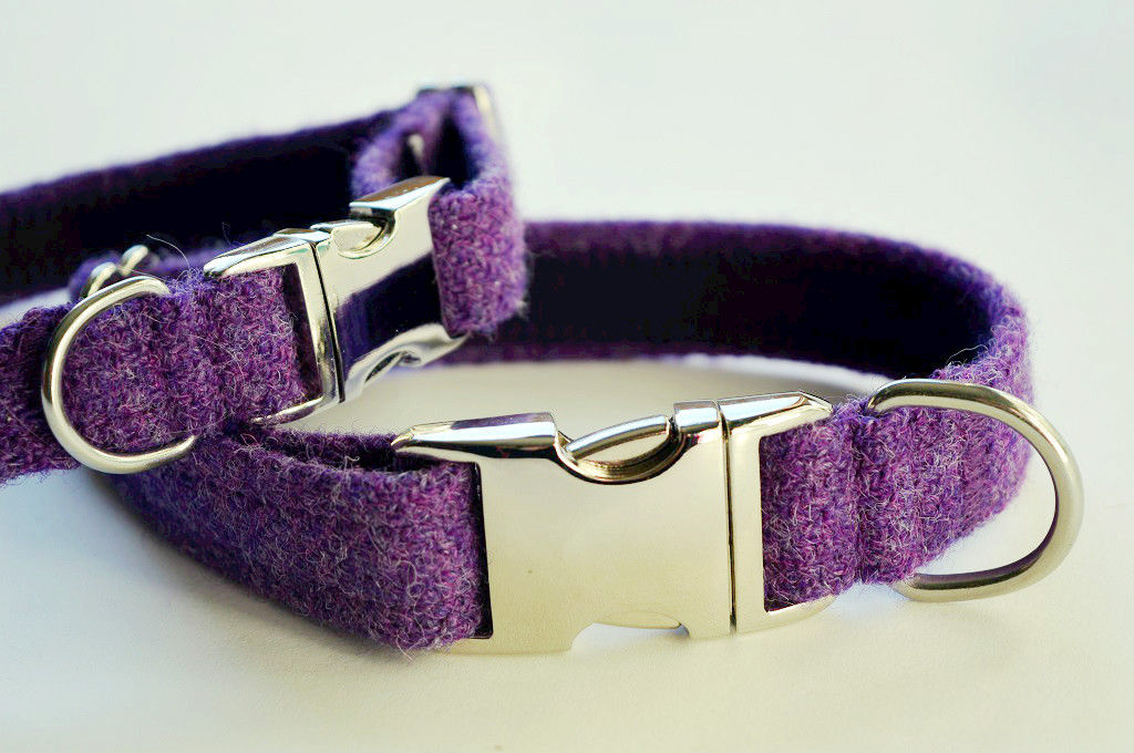 My Mcdawg Deep Purple Tweed Collar