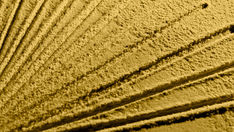 Der Fragilitäts-Check: Wird Melden belohnt oder bestraft?