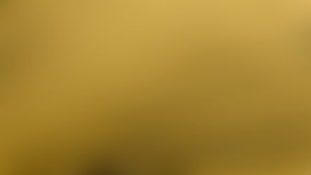 Der Fragilitäts-Check: Wird Melden belohnt oder bestraft?