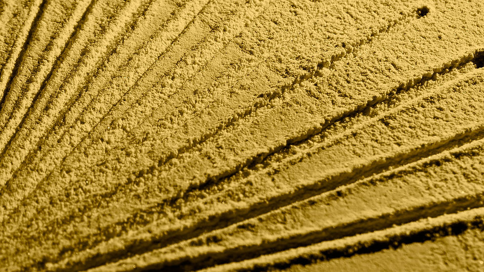 Der Fragilitäts-Check: Wird Melden belohnt oder bestraft?