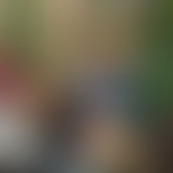 Bienal do Livro do Rio de Janeiro, 2025