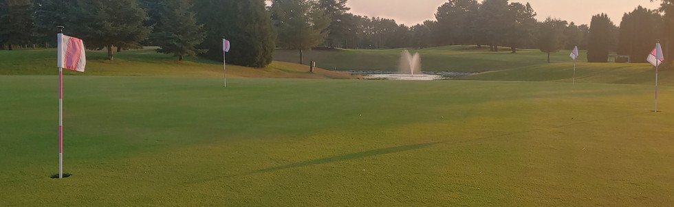 20210701_200909_HDR.jpg
