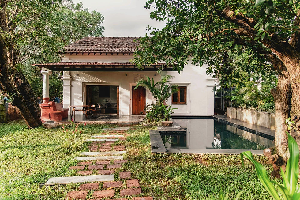 29 Toybox Oct 24 Set A (13)_edited_edited.jpg