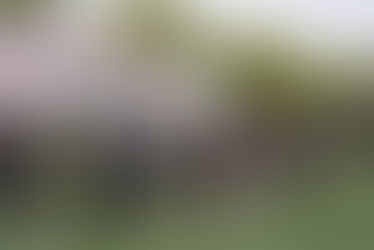 SOLA 5周年祭 -2023.4.29-