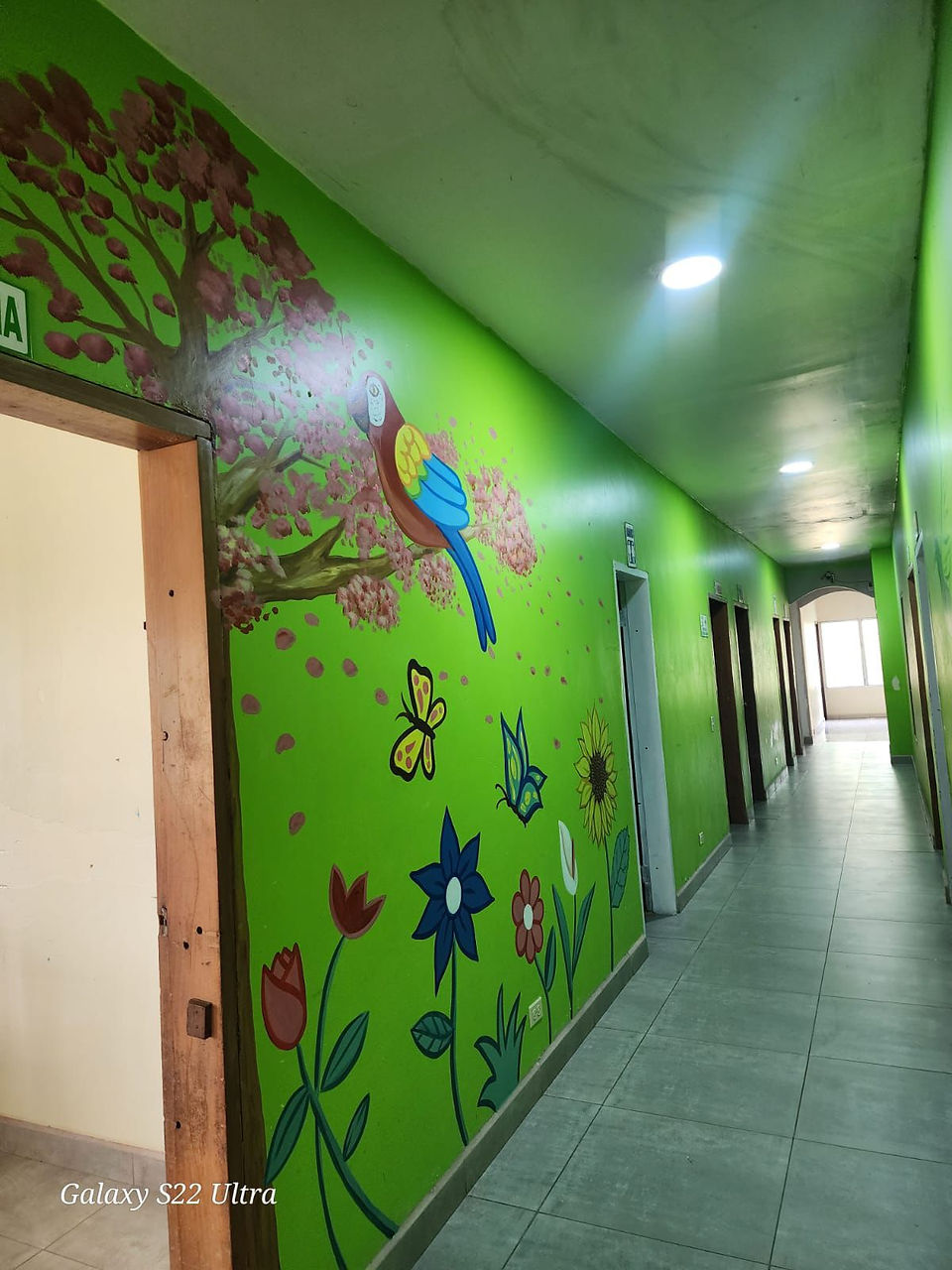 New hallway art at the nutrition center, the Scarlet Macaw is the national bird of Honduras