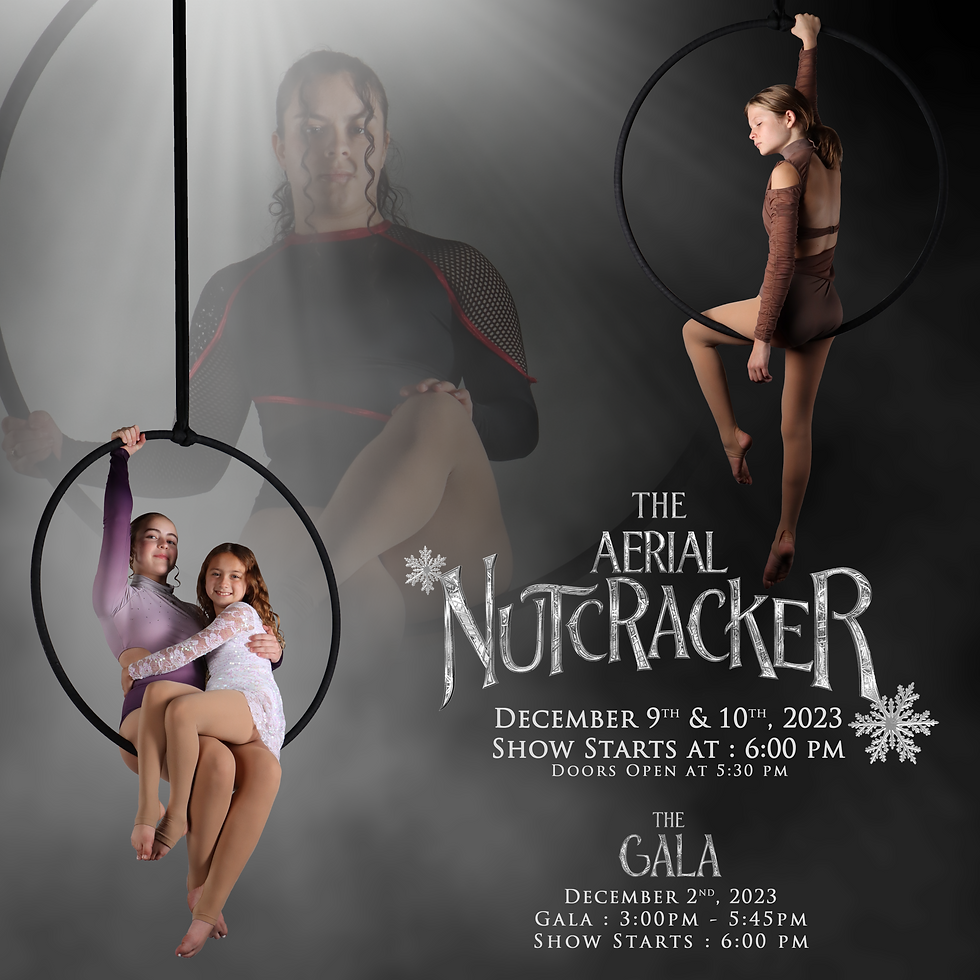 The Aerial Nutcracker Showcase Video