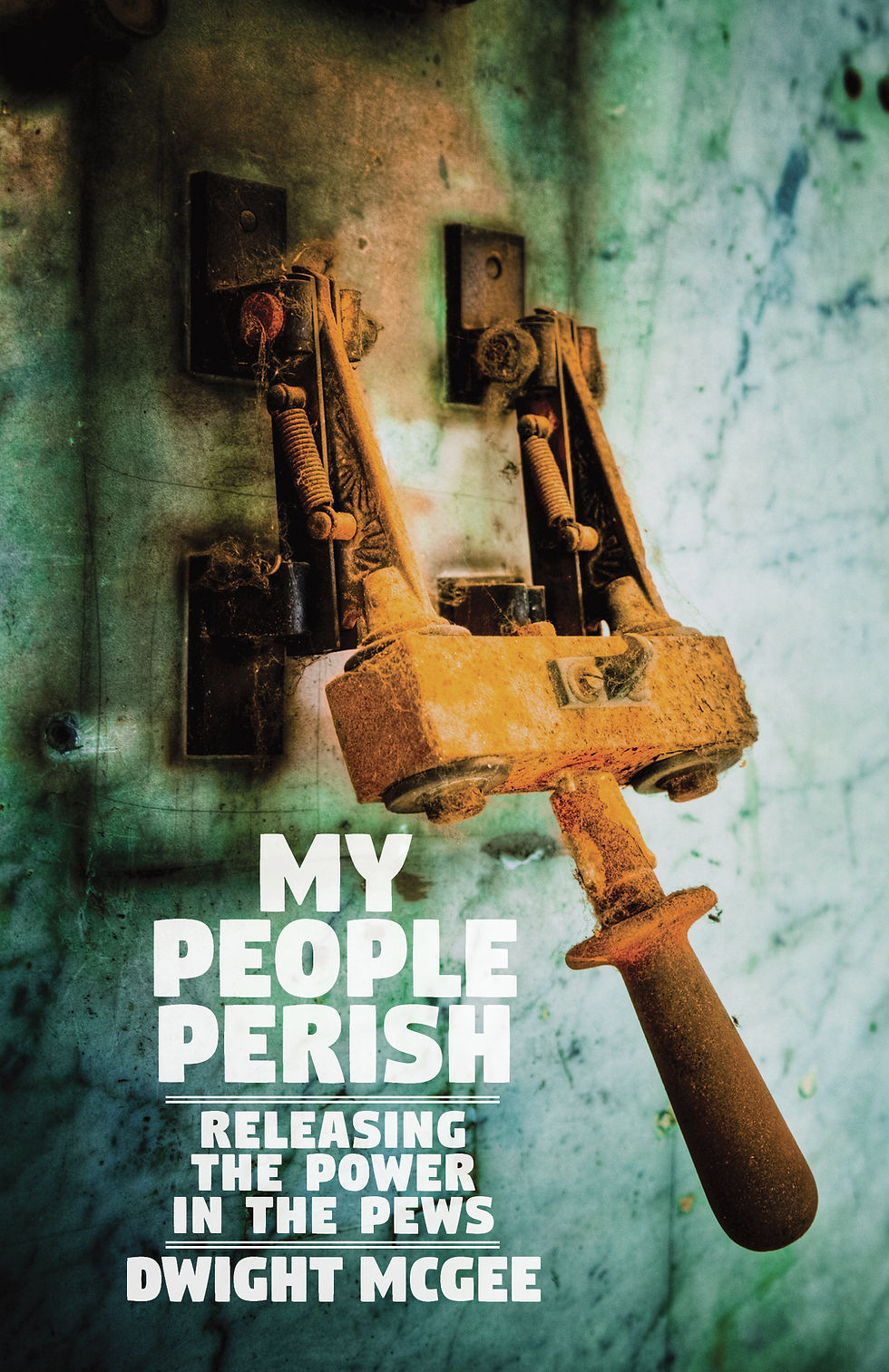 My People Perish: Releasing the Power in the Pews