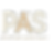 Copy of Copy of Logo for Branding Agency - PAS_edited.png