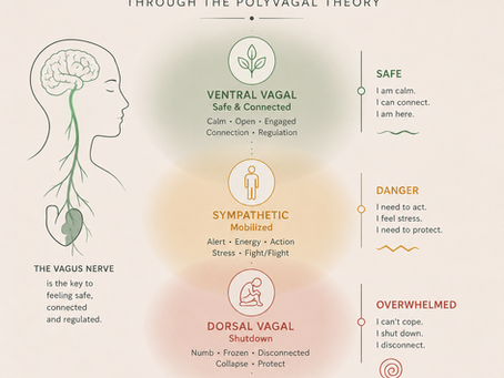 Nervous System Regulation: The complete guide — Why your body reacts before you have time to think