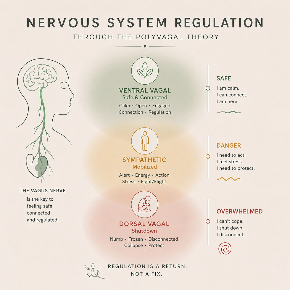 Nervous System Regulation: The complete guide — Why your body reacts before you have time to think