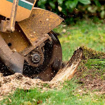Close-up of a stump grinding machine removing a tree stump during tree service in Hartford County, CT.