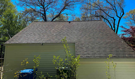 treated roof that killed and removed mold mildew and algae from asphalt roof in Hebron CT