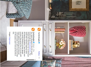 Hunter Douglas Instagram Post_edited.jpg