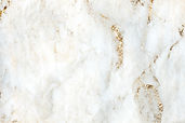 Logo Background.jpg
