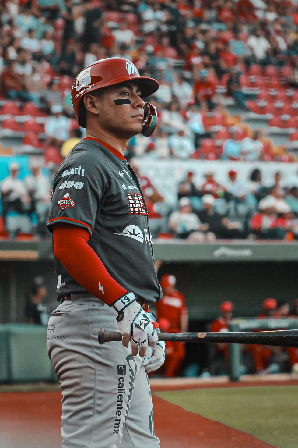 Temporada 2025 – Liga Mexicana de Beisbol